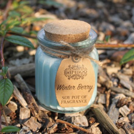 Winter Berry Soy Pot of Fragrance Candles