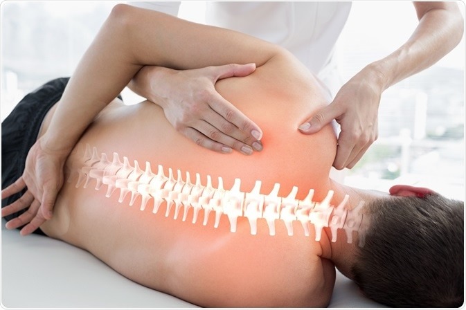 Spine regeneration massage